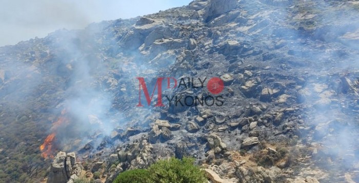 (pics) Με την άμεση επέμβαση της Πυροσβεστικής έσβησε η φωτιά στο Αγράρι