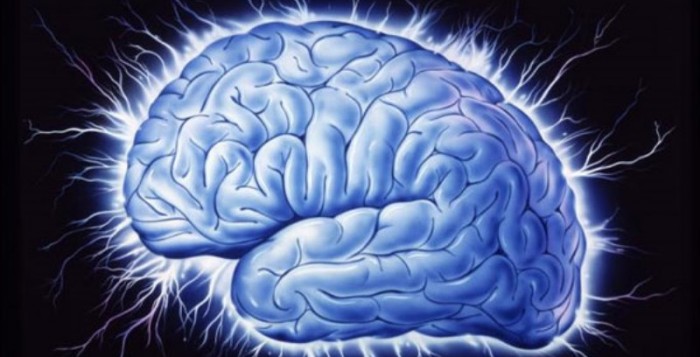 Φαντάσματα αρχαίων ιών «ρυθμίζουν τη λειτουργία του εγκεφάλου»