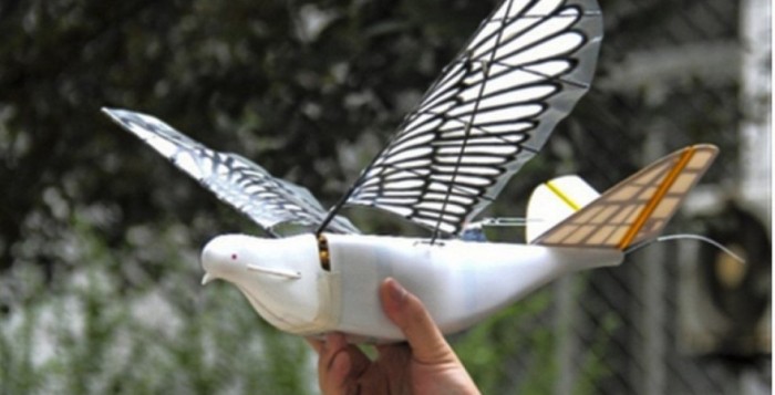 Περιστέρια - drones παρακολουθούν τους πολίτες στην Κίνα
