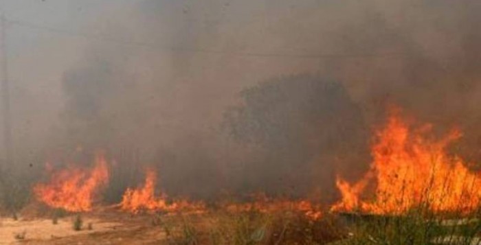 Πυρκαγιά βρίσκεται σε εξέλιξη από το πρωί στη Σέριφο
