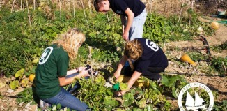 Η Τράπεζα Σπόρων Αιγαίου- Κιβωτός δίνει «ζωή» σε σχολικούς κήπους