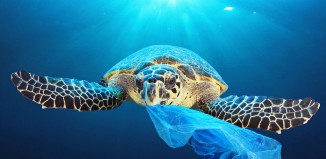 Το ΕΚ οριστικοποιεί την απαγόρευση των πλαστικών μίας χρήσης από το 2021