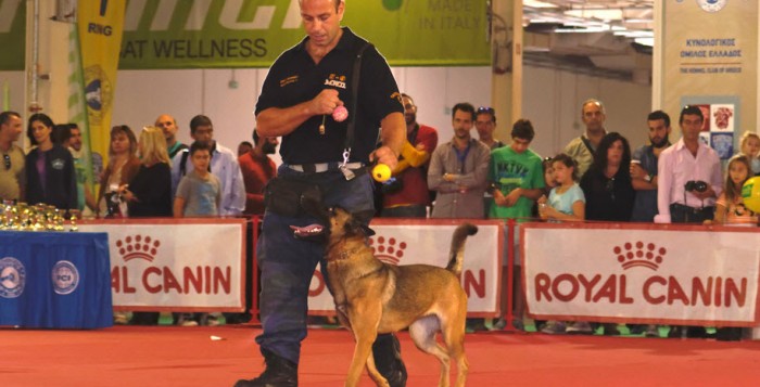 Διήμερο International Dog Festival στη Θεσσαλονίκη