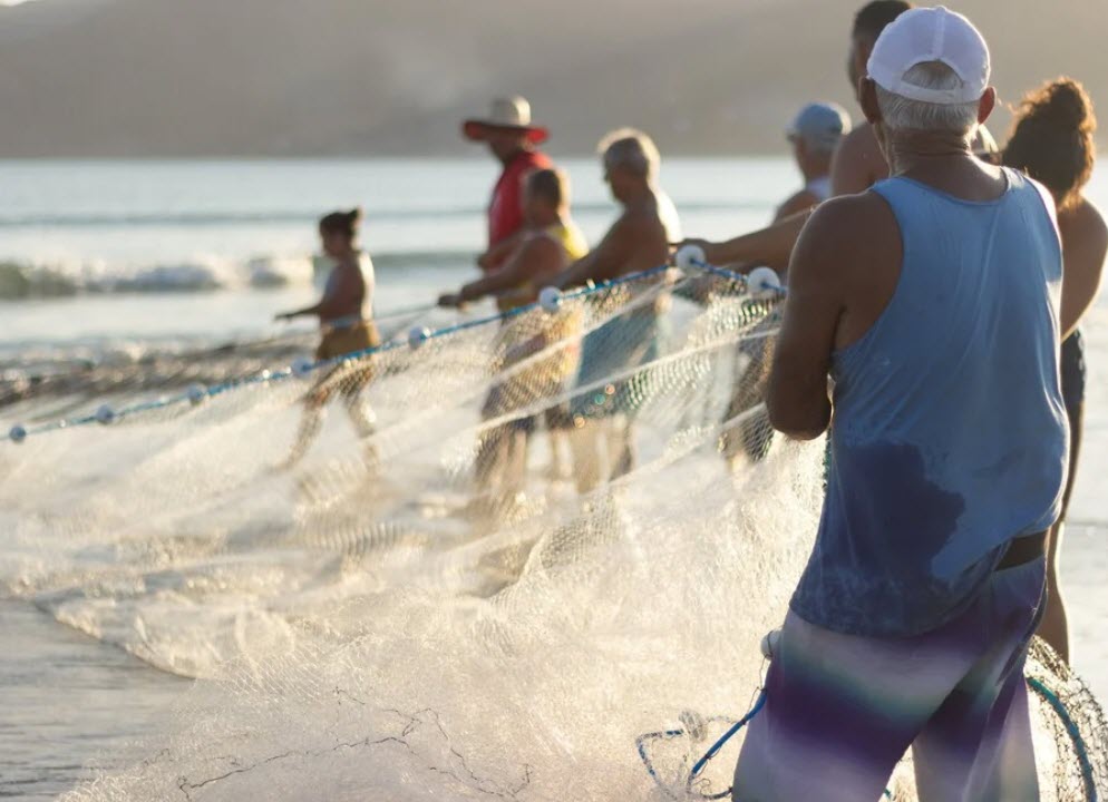 Μια ομάδα παράκτιων ψαράδων σε Άνδρο και Κύθνο καινοτομεί και οδεύει προς τη βιώσιμη αλιεία