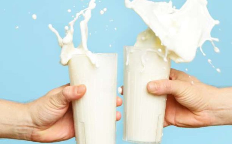 Το γάλα βλάπτει τα οστά και οδηγεί σε πρόωρο θάνατο  