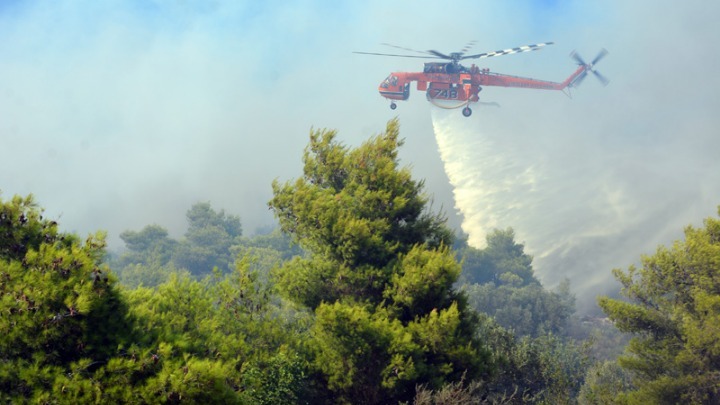 Πυρκαγιά σε δασική έκταση στον Μαραθώνα